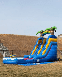 2 1772199923 🦈 Shark Splash Tropical Slide (DRY)