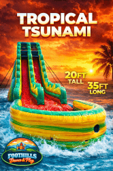 🌴 Tropical Tsunami